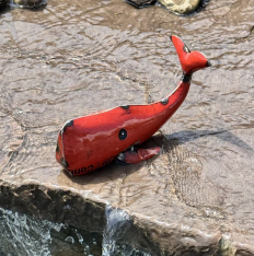 RUBY WHALE RED *NEW* AVAIL JAN 2025